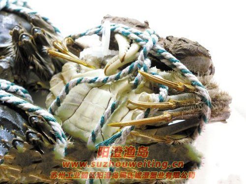 ��Ʒ���κ���բзһֻ���ӣ�